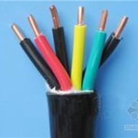 天津市電纜總廠橡塑電纜廠 多元產(chǎn)品打造可靠線纜供應(yīng)